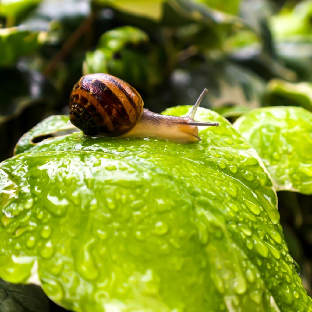 How To Slow Down When Everyone Is Speeding Up