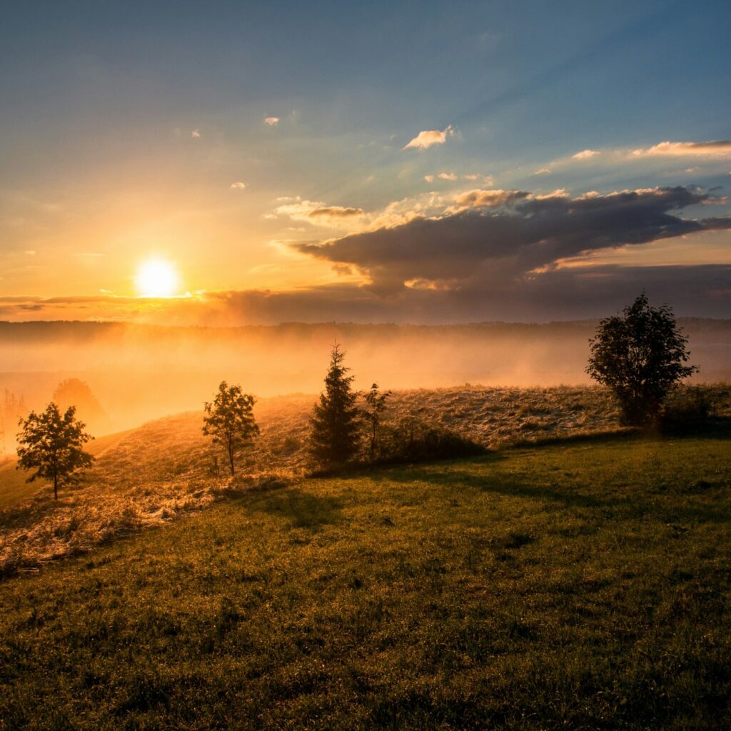 Timing, Excuses & Why Tomorrow Never Comes