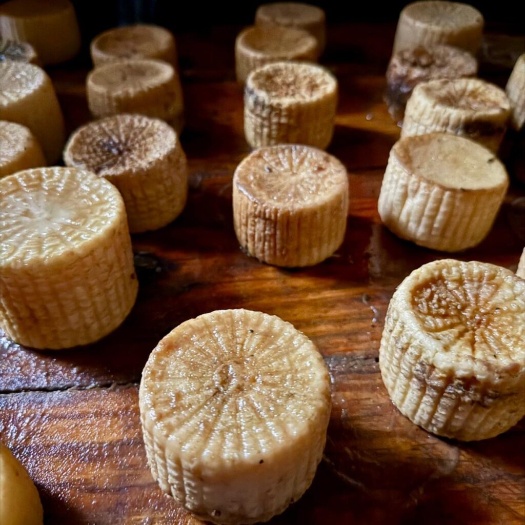 Decoding the Mediterranean Diet Myths and Secrets to Longevity