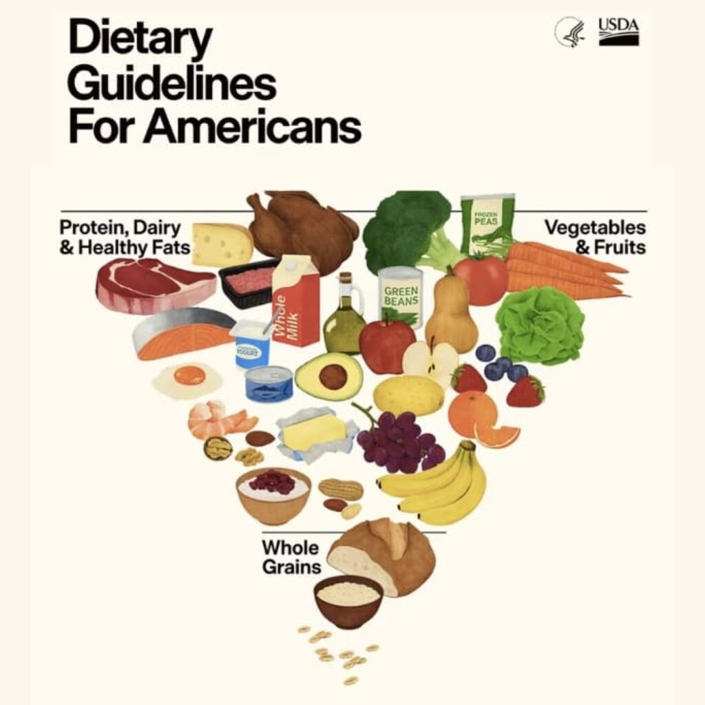 Major Food Pyramid Shake-Up What the New Guidelines Mean for Longevity