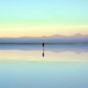 100NO 682: Everlab Reflections - How Conversations on Health, Responsibility, and Longevity Are Evolving