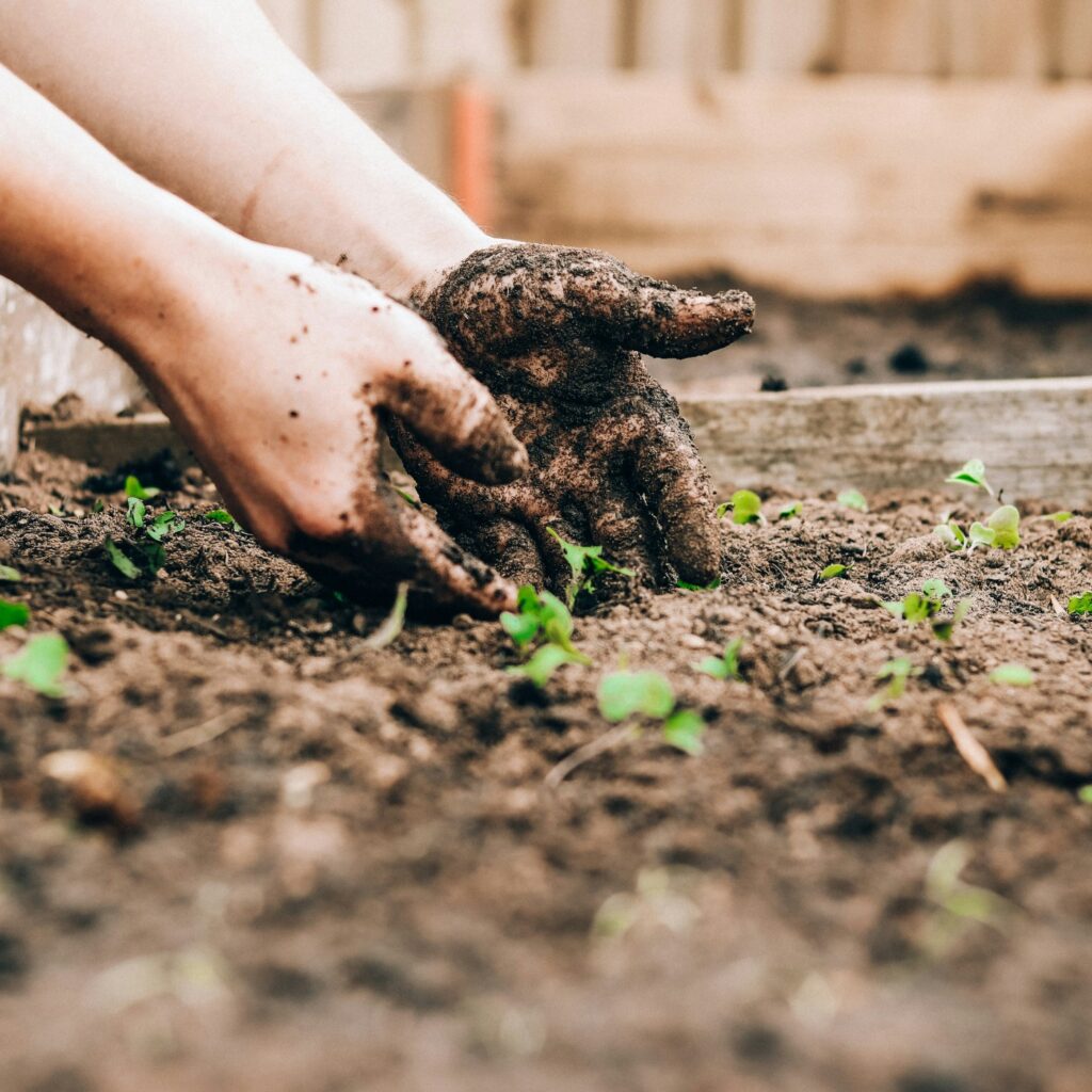 The Ultimate Longevity Exercise: Why Gardening Keeps You Strong and Connected