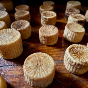 Maggot Cheese to Microbiome Damo's New Longevity Insights